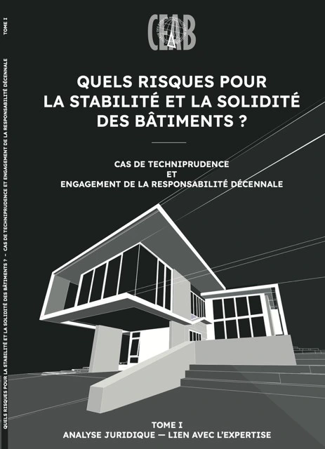 Quels risques pour la stabilité et la solidités des bâtiments ? Cas de techniprudence et engagement de la responsabilité décennale