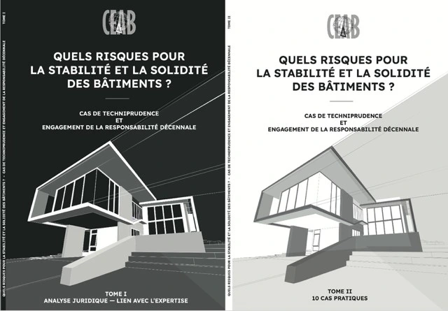 Quels risques pour la stabilité et la solidités des bâtiments ? Cas de techniprudence et engagement de la responsabilité décennale